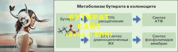 индика Бородино